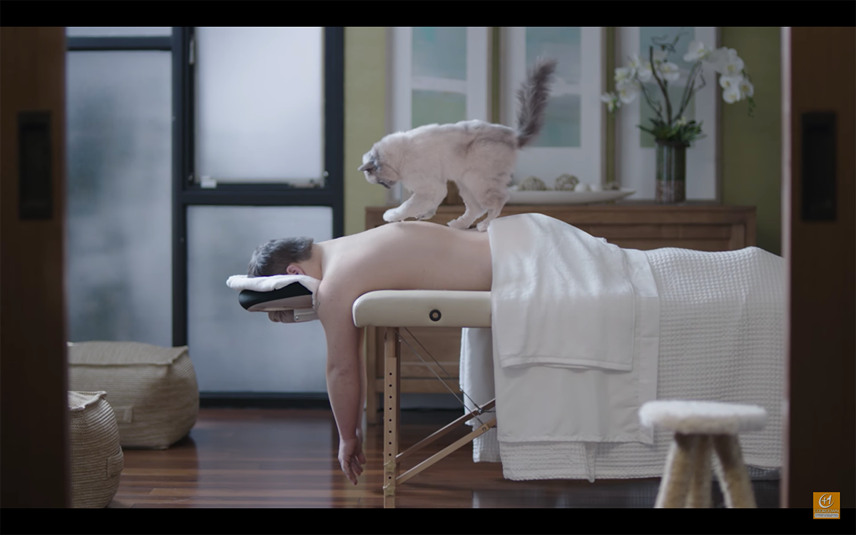 If we needed to be massaged by a cat...